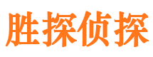 青田市侦探公司